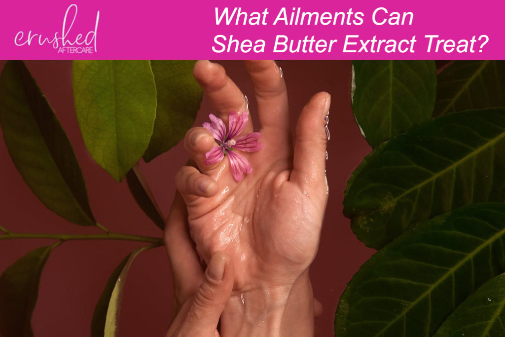 shea butter extract usage in crushed vegan aftercare products blog featured image